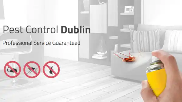 Pest Control Dublin technician treating a Dublin property